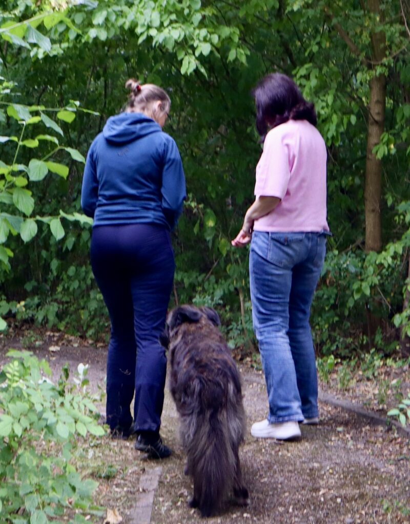 Walk and coach with dog